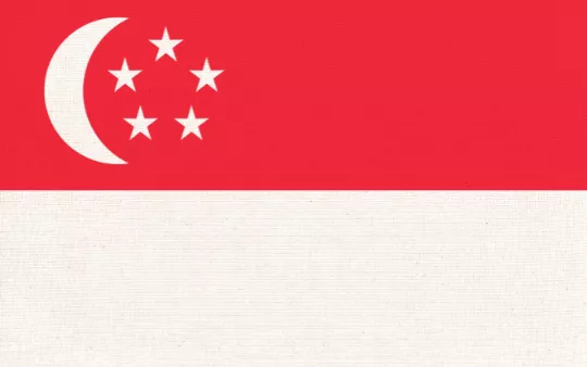 SINGAPORE FLAG